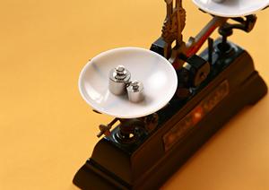 既存品のカスタマイズ可能な対応力が魅力